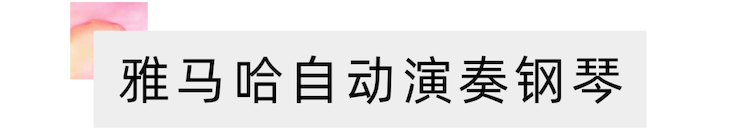 活动报道 | 远程艺术教育大师课活动——永乐国际F66特邀艺术家张奕明大师课